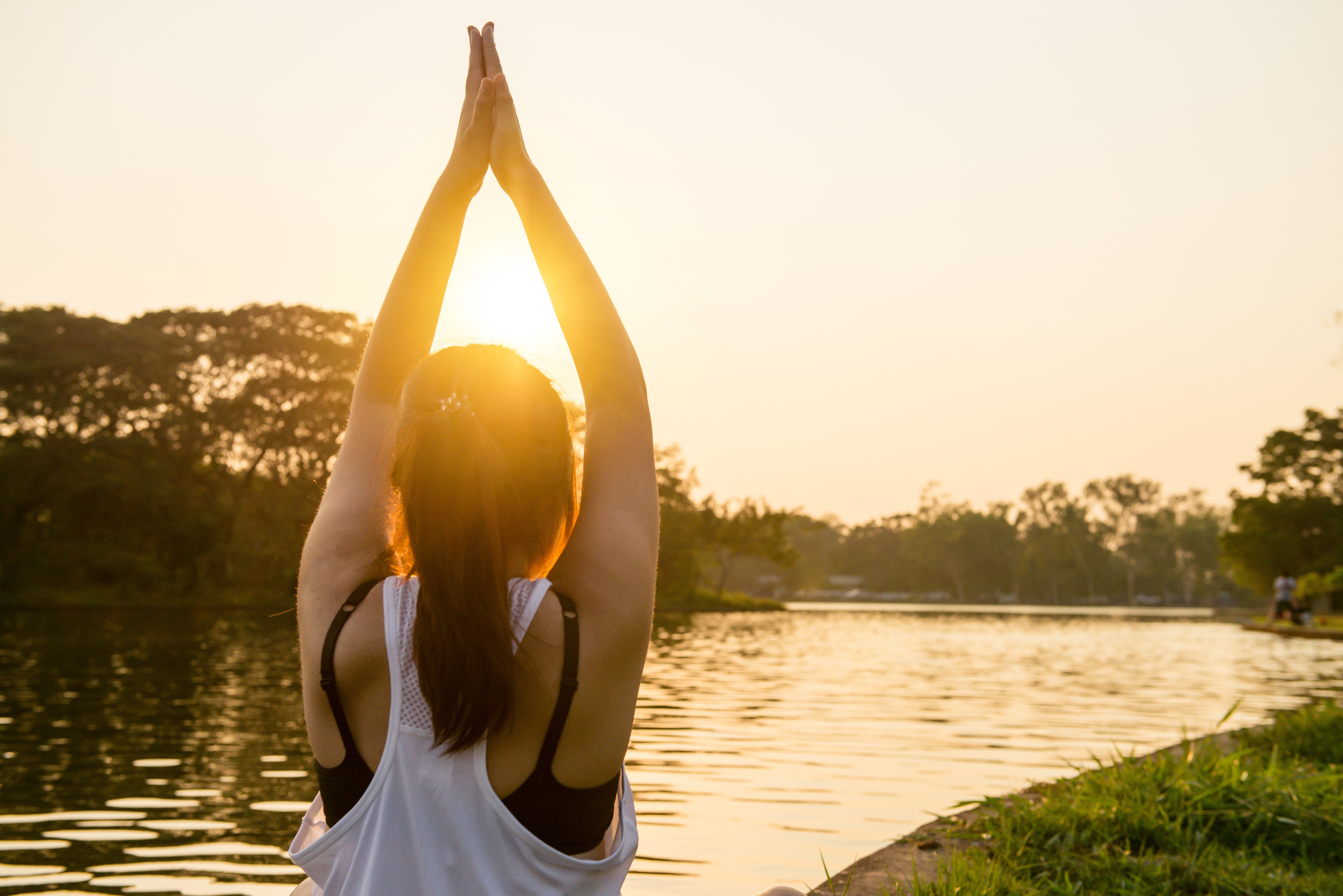 Corporevolution: The Ultimate Destination for Ergonomic Comfort and Wellness Products